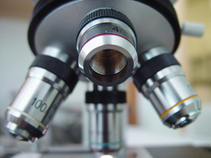 Dudas contables en los gastos de investigación y desarrollo - INEAF