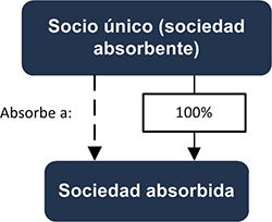 Socio único (sociedad absorbente) - Sociedad absorbente - INEAF