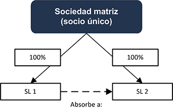 Sociedad matriz (socio único) - INEAF