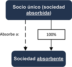 Socio único (sociedad absorbida) - Sociedad absorbente - INEAF