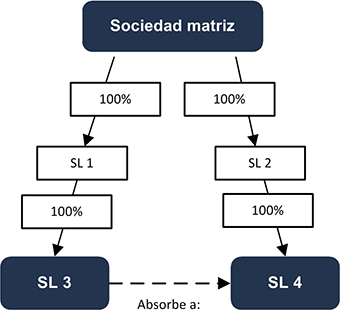 Sociedad matriz - INEAF