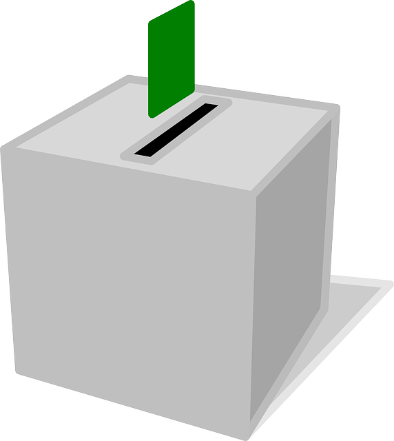 elecciones - INEAF